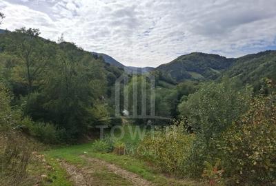 Teren Intravilan de Vânzare - 4000 mp - Râu Sadului - 4