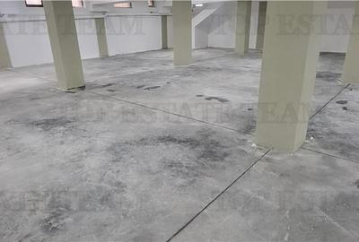 Inchiriere Spatiu Depozitare- 340 mp- Prelungirea Ghencea- Lidl- Sector 6 - 4