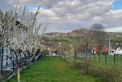 Teren de 300 mp, în Ciurila - 3