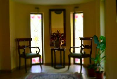 DE VANZARE Park Villa  Boutique  Hotel4*Zona istorica Timisoara - 4