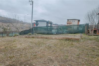 Duplex cu 3 camere cu Canalizare în Bucium - 8