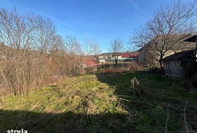Casă cu 3 camere cu Teren 1350 Mp în Mica - 2