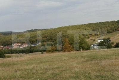 Teren de 1500 mp, în Central - 3