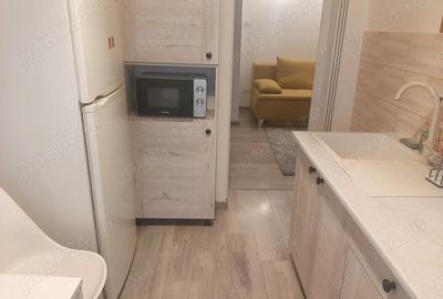 Apartament cu 2 camere semidecomandat în Malul Mureșului - 2