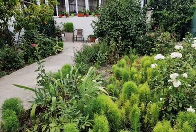 Casa cu suflet in centrul Medgidiei– gradina superba - 32