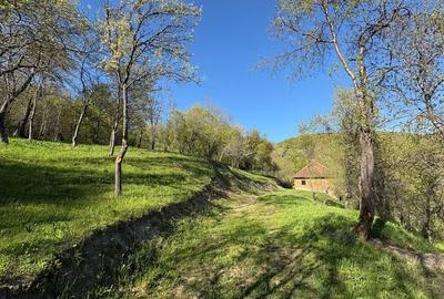 Casă cu 4 camere în Blăjeni - 6