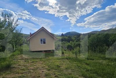 Teren de 1281 mp, în Căprioara - 14