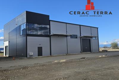 Spațiu industrial, 599 mp în Cristian
