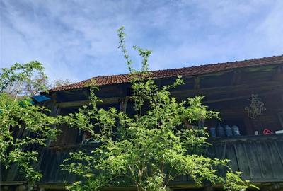 Teren intravilan si cladire in Apuseni, Blajeni, Hd - 5