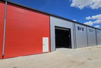 Hala noua | Afumati DN2 | 580mp - 4