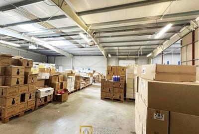 Hala de inchiriat – 440 mp | Arad, Micalaca | Acces DN7 și A1 - 4