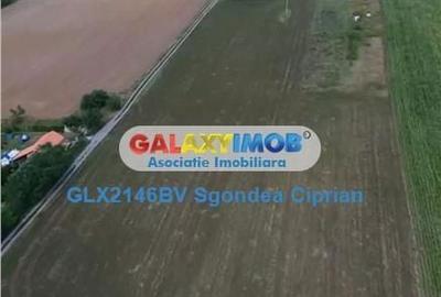 Spațiu comercial, în Feldioara - 1