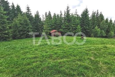 Teren cu puz intravilan in localitatea Paltinis din judetul Sibiu - 3