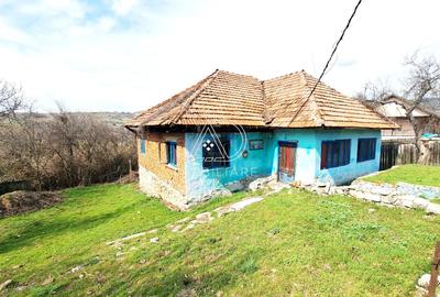 Casă individuală cu 3 camere cu Teren 716 Mp în Baia de Fier - 2