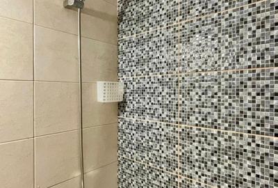 Apartament 2 camere Gorjului - 7