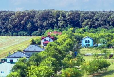 Teren în Afumați - 3