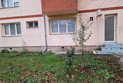 Resita Chirie Spatiu Com 57 mp Lunca, Promenada - 9