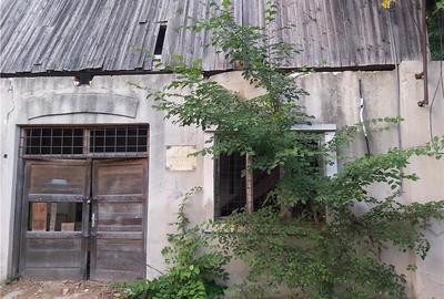 Casă cu 6 camere în Buziaș - 5