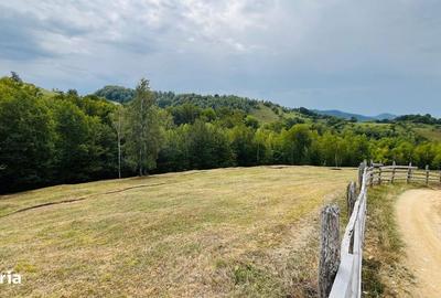 Spațiu comercial, în Central - 8
