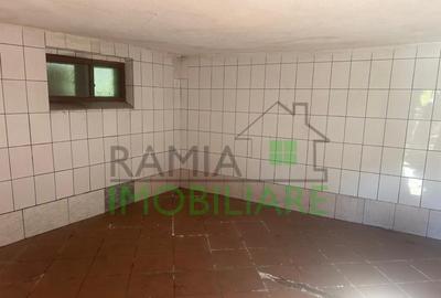 Casa cu 2 apartamente si teren generos-zona centrala, potent - 16