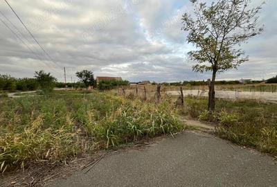 Teren de 3000 mp, în Checea - 13