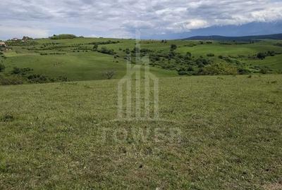 De vanzare, teren 11.500 mp – Dealul Dăii,  Vedere panoramică spre munți și lac - 12