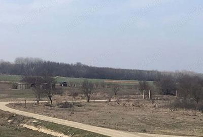 Teren de 622 mp, în Clinceni - 2