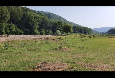 Spațiu comercial, în Moroeni - 6