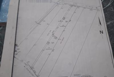 Teren de 2800 mp, în Târgușor