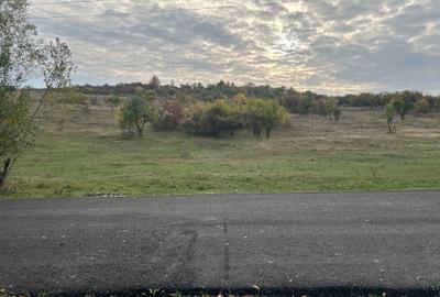 Spațiu comercial, în Căzănești - 5