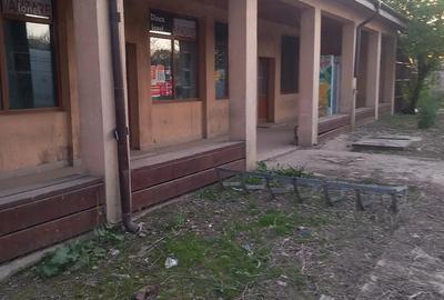 Casă cu Teren 800 Mp în Tichilești - 4