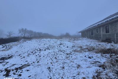 Casă cu 2 camere cu Teren 5135 Mp în Dobreni - 3