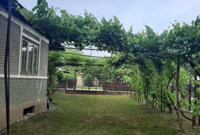 Teren intravilan, casa demolabila in Dumbravesti, Prahova - 5