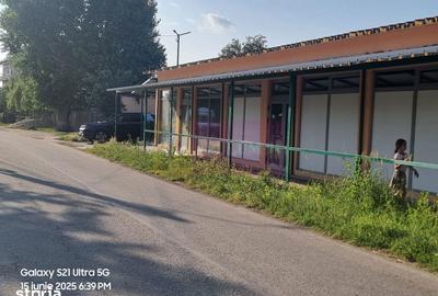 Casă cu 10 camere cu Teren 6000 Mp în Bulbucata - 11