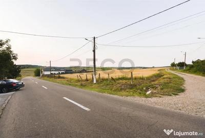 Teren de 1000 mp, în Lăzăreni - 9