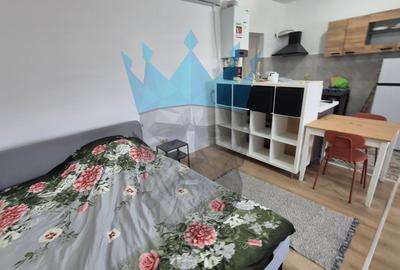 Garsonieră decomandată, mobilată în Corbeanca - 4