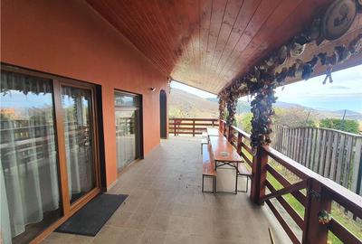 Oferta casa de vacanta P+1+M cu 1700mp teren, in Gura Raului - 12