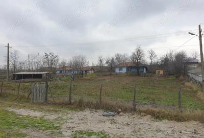 Casa batraneasca de vanzare - 6