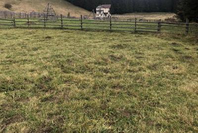 Teren de 2121 mp, în Valea Doftanei - 9