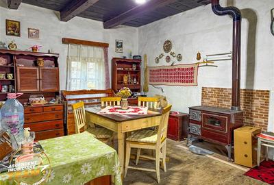 Casă individuală cu 2 camere cu Teren 2989 Mp în Zagon - 6