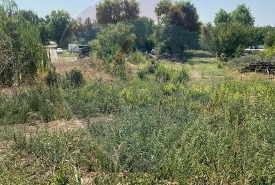 Teren de vanzare / 2,500 mp pe Malul Lacului Tancabesti /Ilfov - 3