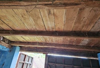 Casa de vacanta cu 4 camere in localitatea Izbuc, judetul Bihor - 8