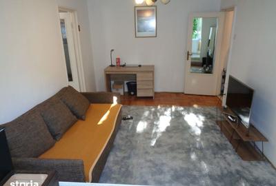 Apartament cu 2 camere în Șega - 15