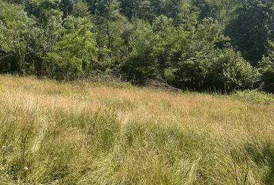 Teren de 2900 mp, în Sintești - 7