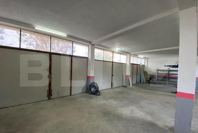 Spatiu de inchiriat de inchiriat, 120 mp, zona Cetate - 9