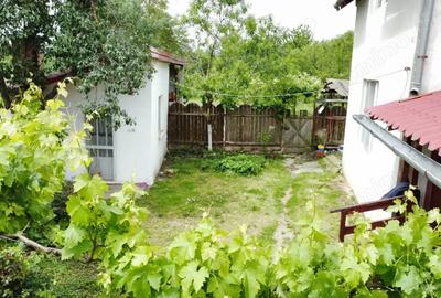 Casa in Co?teiu, teren de 1500 mp, la pret de apartament in Lugoj - 5