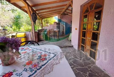 Casă cu 4 camere cu Teren 2431 Mp în Curtuiușu Mare - 8