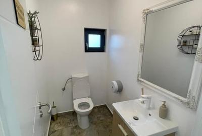 Spațiu comercial, de 66.199996948242 mp, în Brazda lui Novac - 4