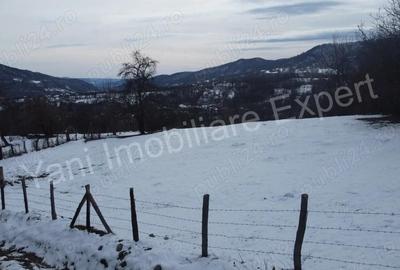 Teren de 4377 mp, în Bradu - 3