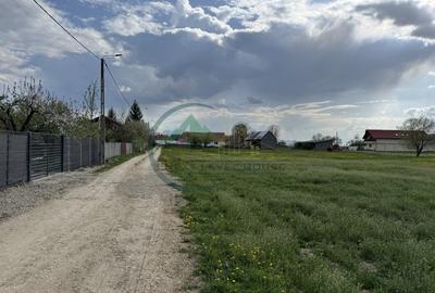 Teren Sat Bacel 6200 mp - 8